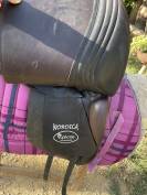 Selle islandais Nordica tophorse Scandinavia 17,5