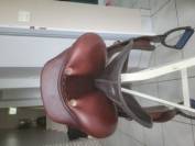 Selle gbs 