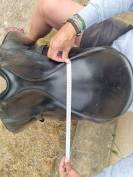 Selle de dressage 