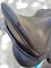 Selle Wintec 500,  17 pouces (43cm), 2 arcades 