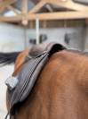 Selle Forestier boecklo 