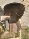 Selle wintec mixte