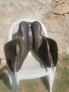 Selle wintec mixte