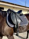 Selle Wintec mixte noir - 17 pouces 