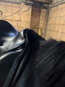 Selle Amerigo Vega 