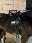 Selle Amerigo Vega 