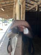 Selle Forestier 17p