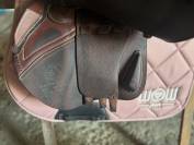 selles CWD obstacle 17,5