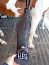 Selle barefoot Cherokee 
