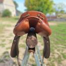 Selle forestier 17'