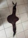Sangle bavette CWD iPulse by Arioneo - Taille Universel