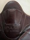 Sangle bavette CWD iPulse by Arioneo - Taille Universel