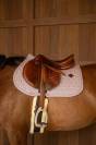 Tapis de selle Full Sparkling - Kentucky - Tissu scintillant