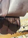 Selle Prestige Roma jump