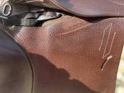 Selle Prestige Roma jump
