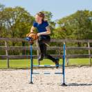 Set Saut d'Obstacle pour Hobby Horse - QHP - Hauteur r&eacute;glable jusqu'&agrave; 112 cm