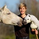 Hobby Horse Nalanta - QHP - Pelage doux et crini&egrave;re &agrave; coiffer