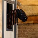 Hobby Horse Nalanta - QHP - Pelage doux et crini&egrave;re &agrave; coiffer