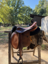 Selle &eacute;quitation Belloir 17,5