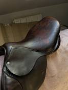 Selle Antar&egrave;s Confort obstacle / mixte Havane Т.17P Ann