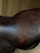 Selle Antar&egrave;s Confort obstacle / mixte Havane Т.17P Ann