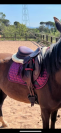 Selle Chiberta Devoucoux