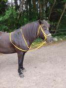 Bridon et r&ecirc;nes cheval