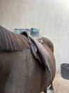 Selle jump&rsquo;in Premium (contact&eacute;e moi par sms)