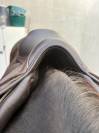 Selle jump&rsquo;in Premium (contact&eacute;e moi par sms)