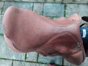 Selle Forestier Segonzac