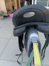 Selle de dressage : Frank Baines - Elegance