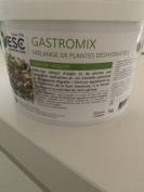 Gastromix laboratoire ESC