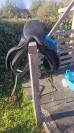 Sella wintec 250 da 17" Sella  wintec Isabelle 17.5"