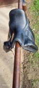 Selle dressage antares 