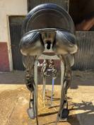 Montura Custom Icon Coda 17,5&rdquo;