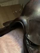 Selle Antar&egrave;s Confort obstacle / mixte Havane Т.17P Ann