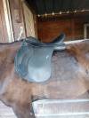Selle wintec 500 17 pouces