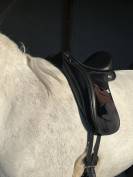 Salle dressage Bates Wide