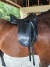 Selle euroriding Diamant 17.5