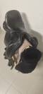 Selle de dressage Brunet pineau