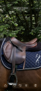Sella Antares tg 17.5 