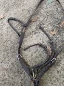 Collier de chasse + martingale CWD