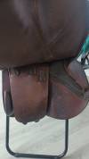 Selle forestier 