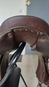 Selle forestier 
