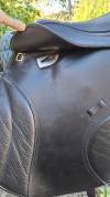 SELLE MIXTE KENT AND MASTERS 17,5 Universal GP 2023