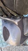 SELLE MIXTE KENT AND MASTERS 17,5 Universal GP 2023