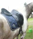 Prestige Roma dressage