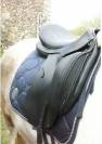 Prestige Roma dressage