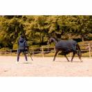 Couverture de marcheur softshell K-Eros - Equith&egrave;me