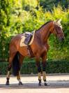 Tapis de selle Modern Midsummer Glow - Equestrian Stockholm - Doublure en bambou